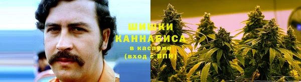 ешки Арсеньев