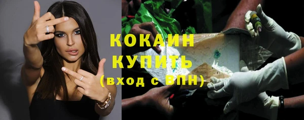 ешки Арсеньев