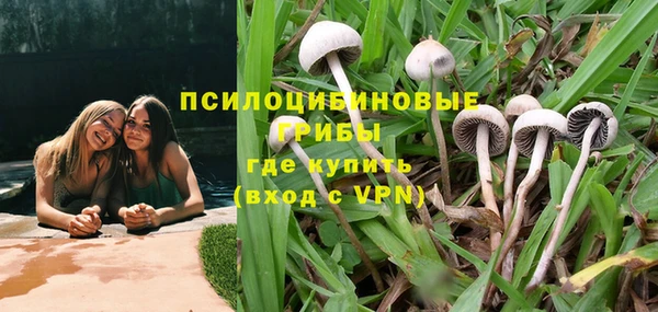 ешки Арсеньев