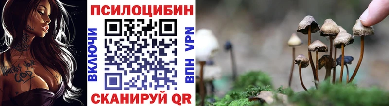 Галлюциногенные грибы GOLDEN TEACHER Жиздра